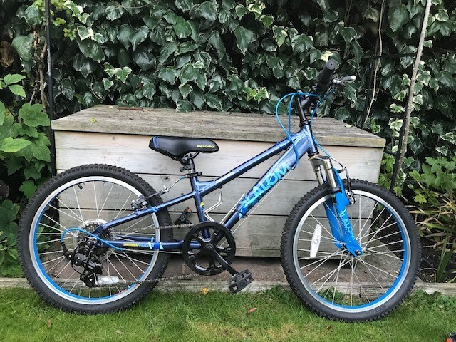 apollo slalom junior mountain bike